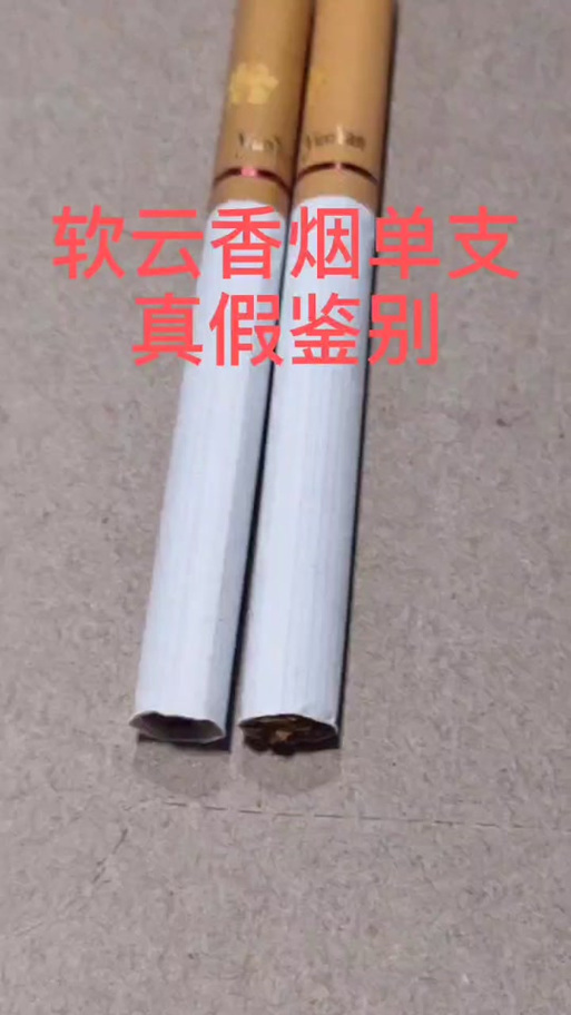 深入解析「中机软云」与「软云冒牌超长版」 云计算时代的真假博弈